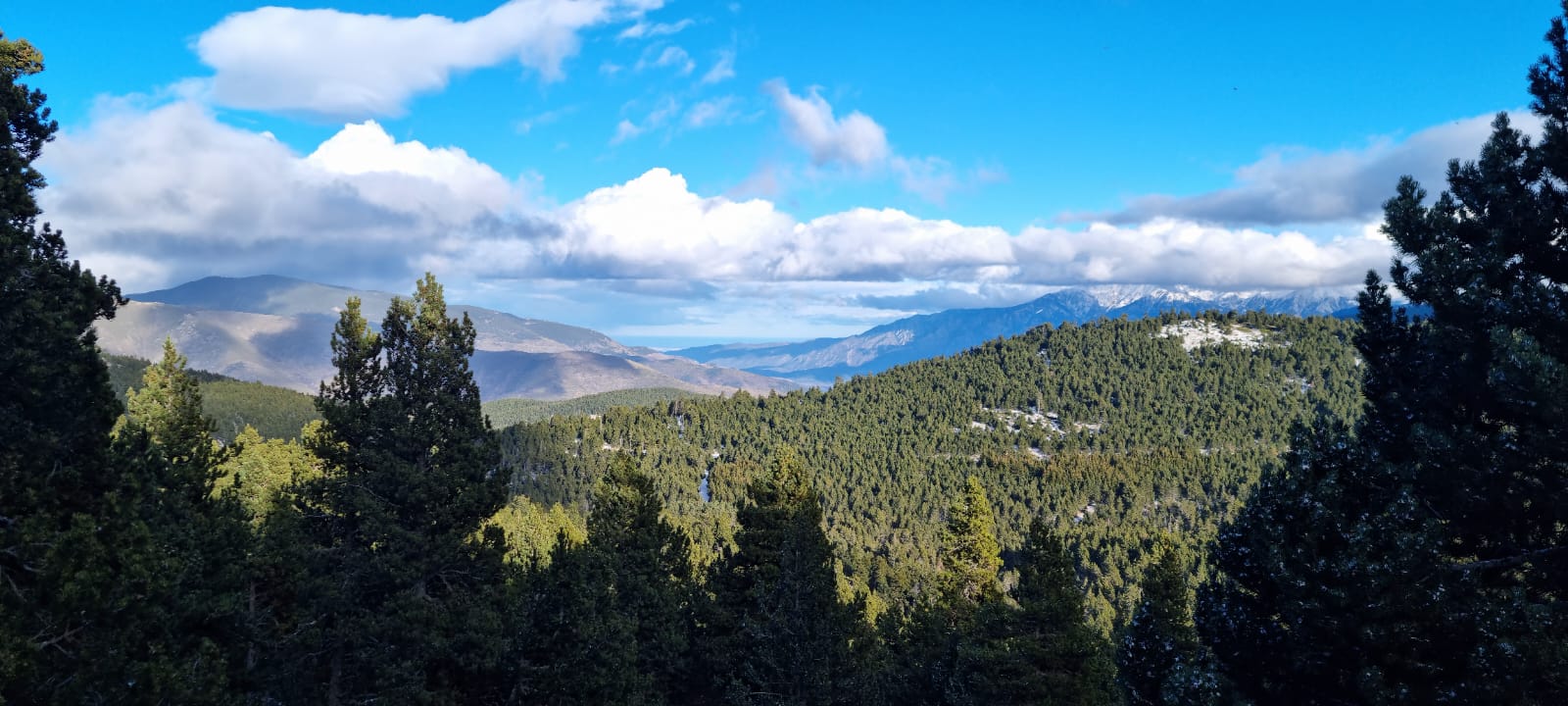 les entreprises employeurs actrices de développement de territoire de montagne